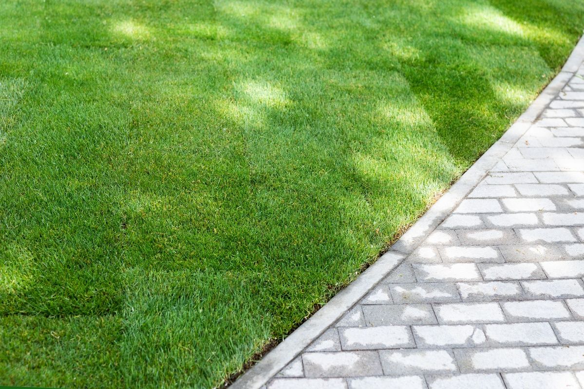 Backyard Design in Colts Neck, NJ