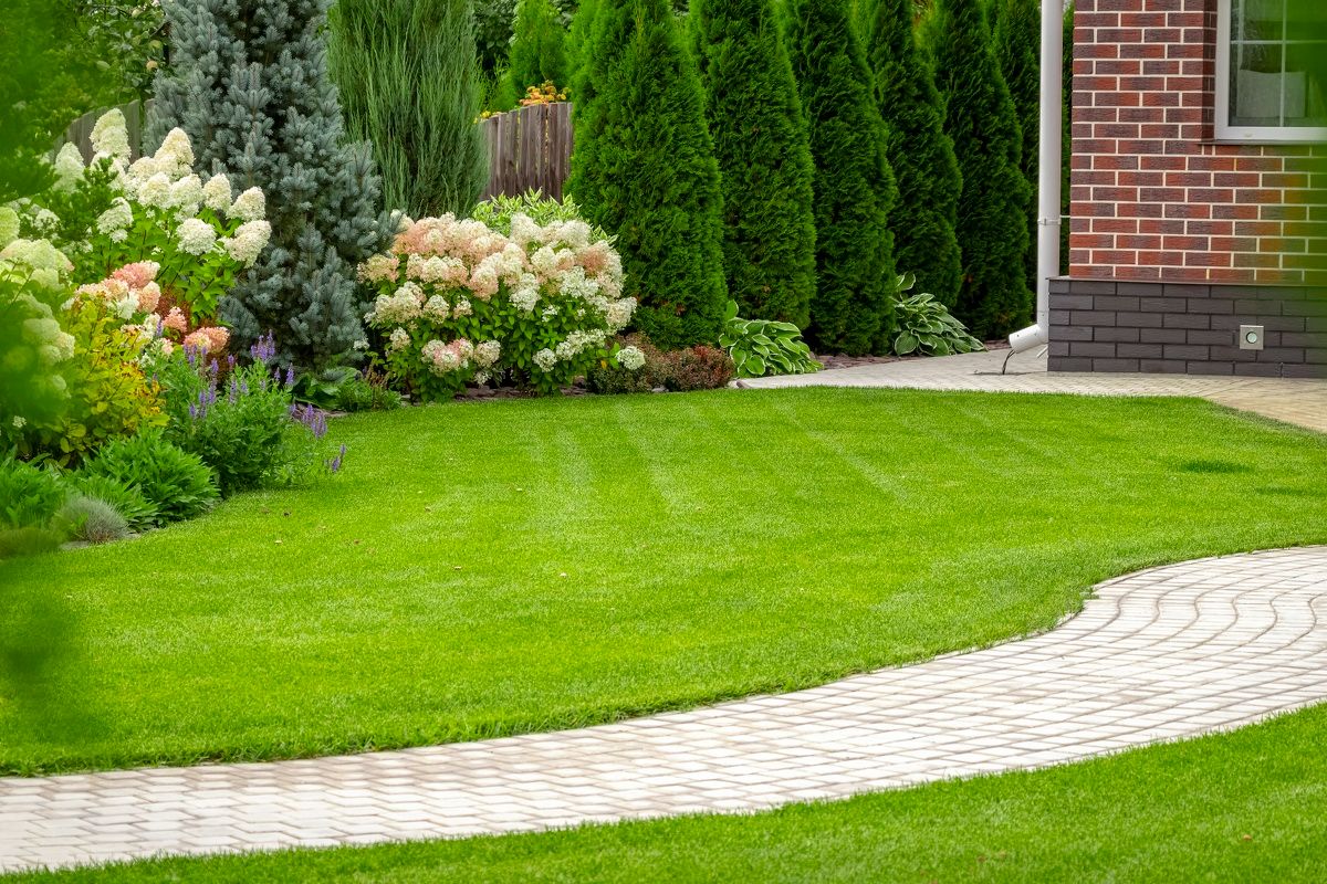 Lawn Care Companies in Colts Neck, NJ