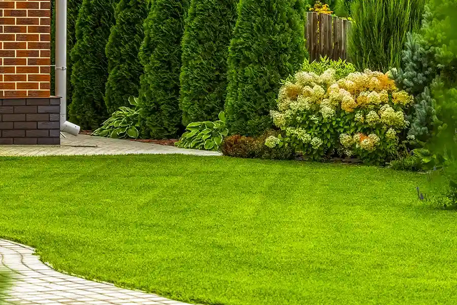 Boosting Curb Appeal With Expert Lawn Care Services Colts Neck, NJ