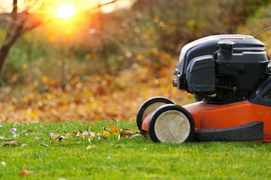 Lawn Care Mistakes To Avoid For A Healthier Lawn Colts Neck, NJ Lawn Care Mistakes To Avoid For A Healthier Lawn Colts Neck, NJ