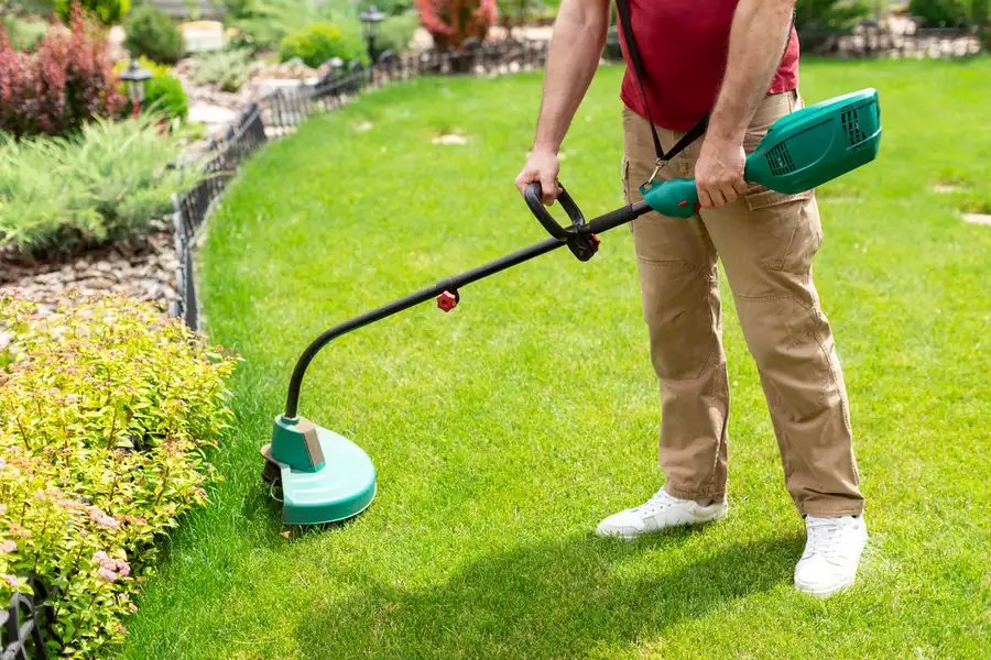 Lawn Care Mistakes To Avoid For A Healthier Lawn in Colts Neck, NJ Lawn Care Mistakes To Avoid For A Healthier Lawn in Colts Neck, NJ