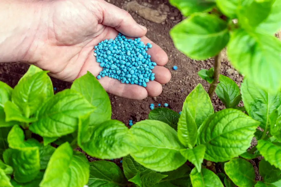 Lawn Fertilization Service and Soil Nutrient Balance Colts Neck, NJ Lawn Fertilization Service and Soil Nutrient Balance Colts Neck, NJ