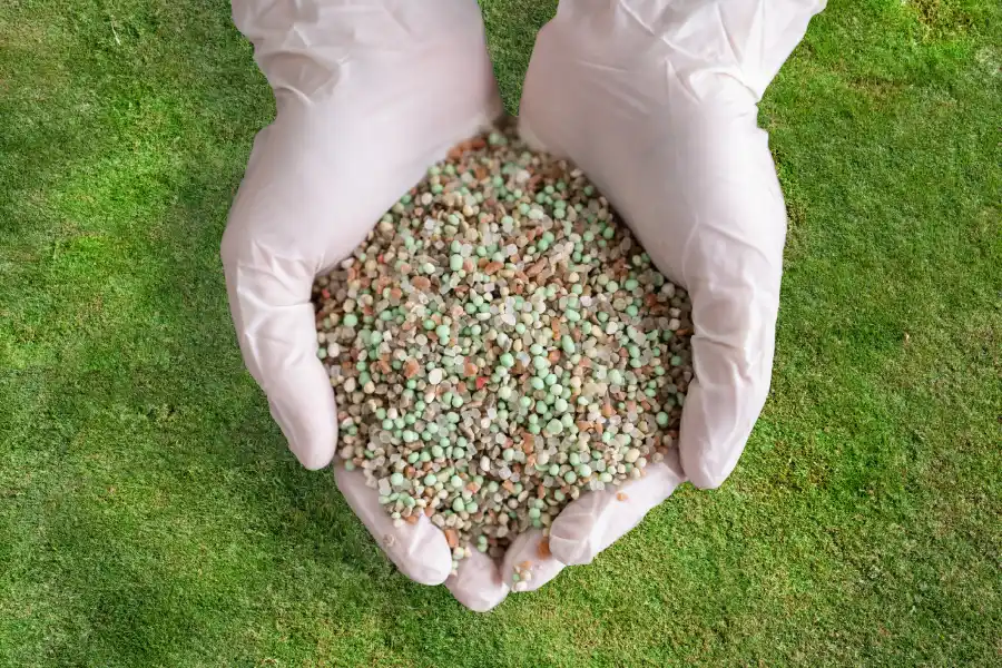 Lawn Fertilization Service and Soil Nutrient Balance in Colts Neck, NJ Lawn Fertilization Service and Soil Nutrient Balance in Colts Neck, NJ