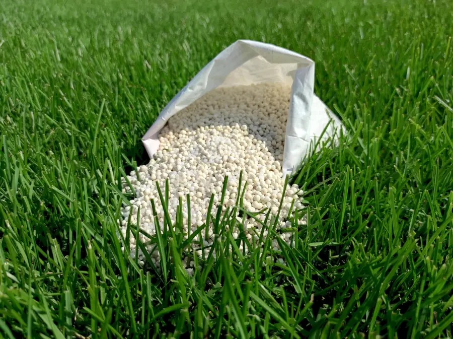 Lawn Fertilization Service for Stress Tolerant Lawns Colts Neck, NJ Lawn Fertilization Service for Stress Tolerant Lawns Colts Neck, NJ