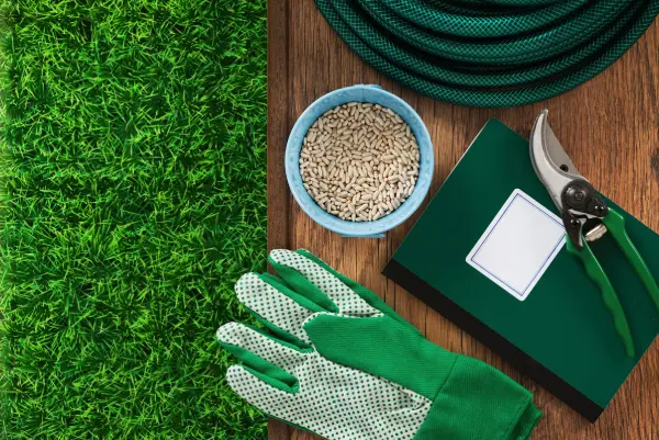 Lawn Fertilization Service