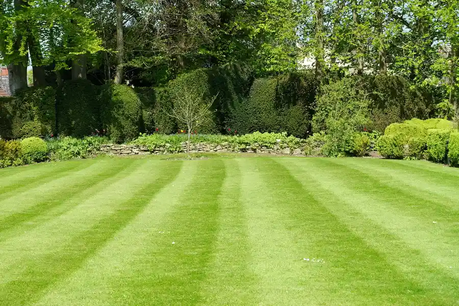 Professional Lawn Care Colts Neck, NJ Professional Lawn Care Colts Neck, NJ