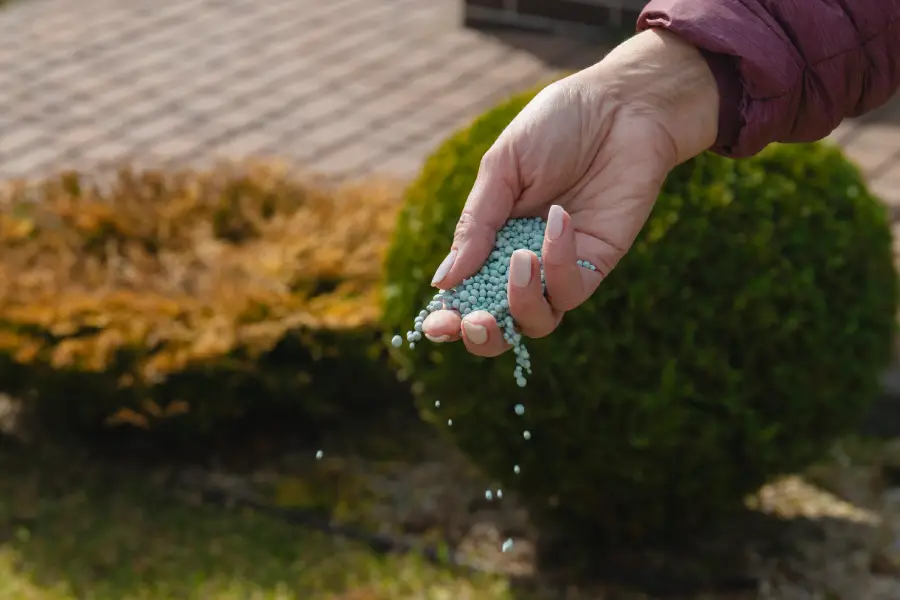Professional Lawn Fertilization Service in Colts Neck, NJ Professional Lawn Fertilization Service in Colts Neck, NJ