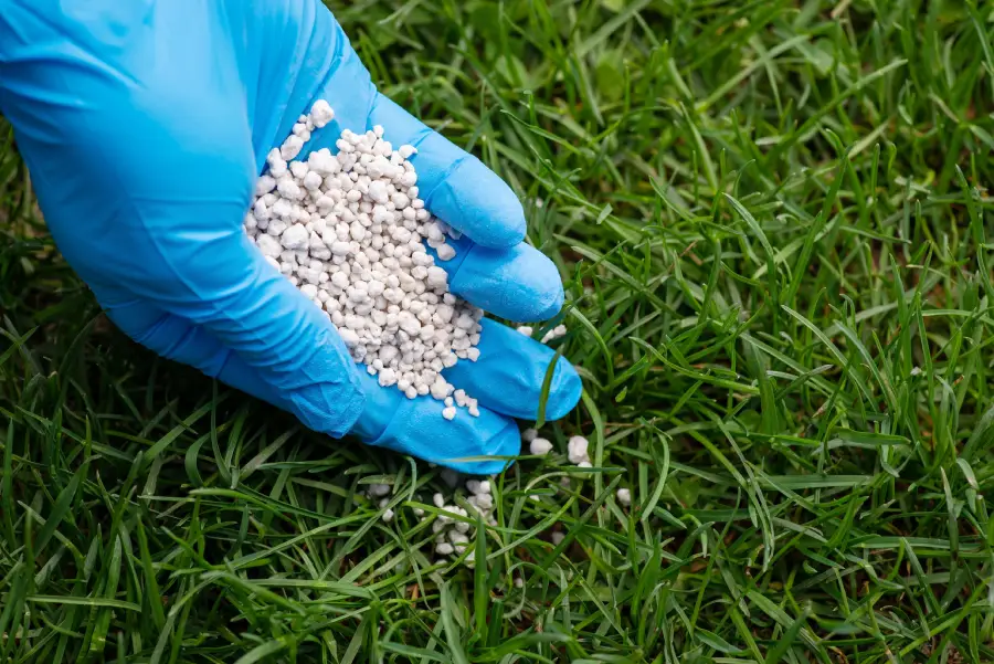Reliable Lawn Fertilization Service in Colts Neck, NJ Reliable Lawn Fertilization Service in Colts Neck, NJ