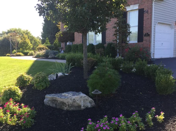 Landscaping Contractor