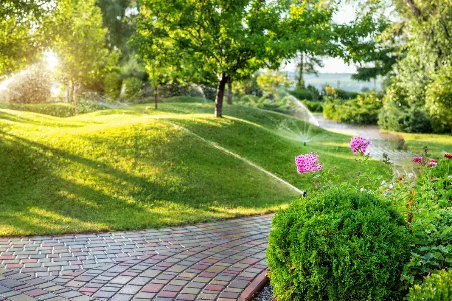 Why Irrigation System Repair Improves Lawn Growth Colts Neck, NJ Why Irrigation System Repair Improves Lawn Growth Colts Neck, NJ